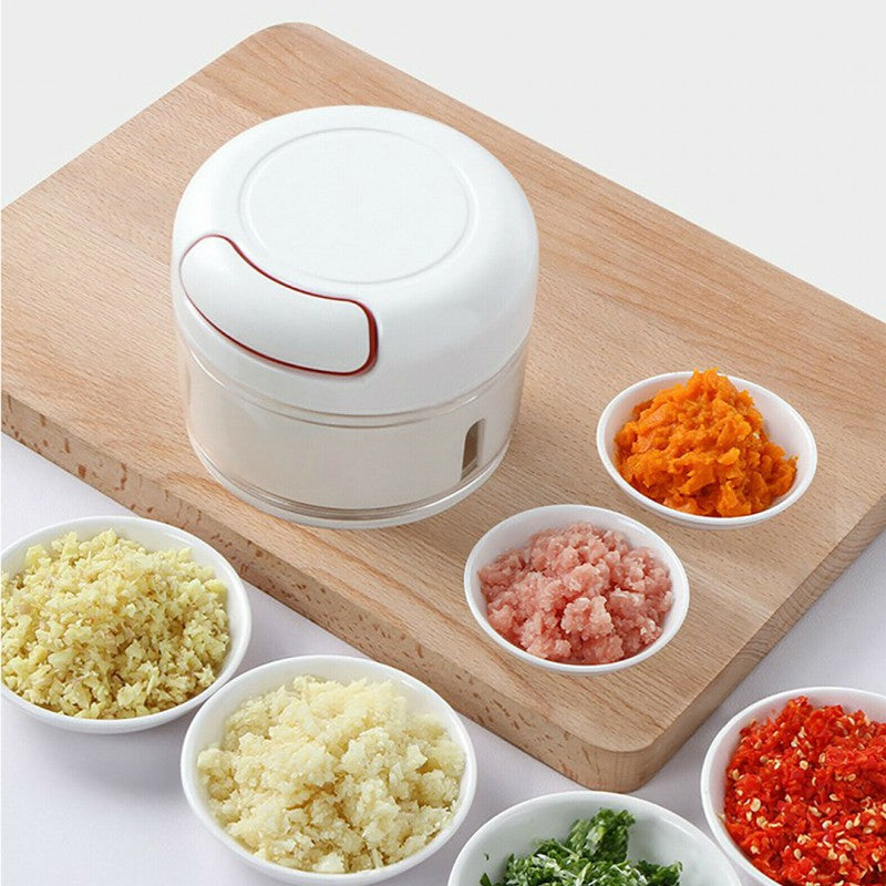 Mini Food Chopper